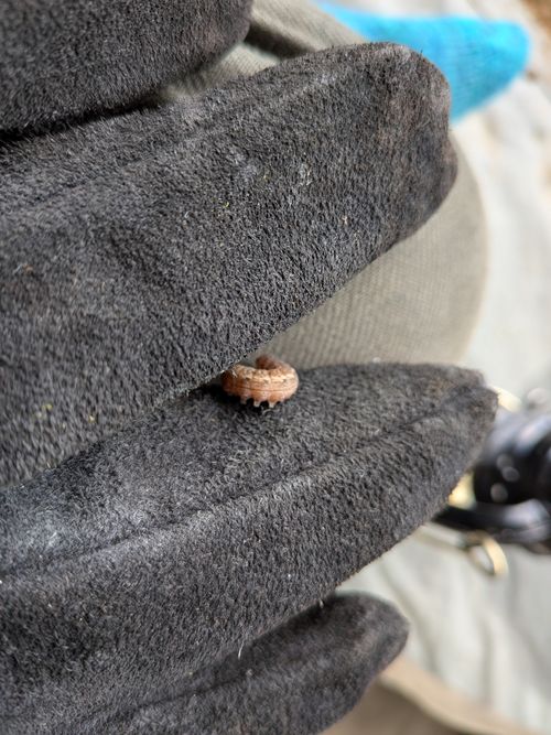 夜景を求めて GROVE camping hill グループキャンプ 区画サイト ひげさんさんのキャンプブログ CAMPiii（キャンピー） -キャンプ専用SNS キャンプのすべてがここに集まる-