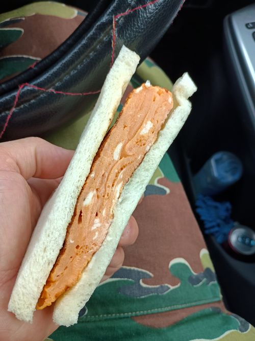 仕事終わりに車中泊   in岡崎 藤川宿駐車場 ファミリーキャンプ 区画サイト ウエィダーさんのキャンプブログ CAMPiii（キャンピー） -キャンプ専用SNS キャンプのすべてがここに集まる-