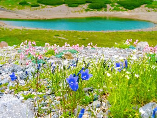 母子の夏休み大冒険🌻⛰️🥾 平湯キャンプ場 グループキャンプ はやぷささんのキャンプブログ CAMPiii（キャンピー） -キャンプ専用SNS キャンプのすべてがここに集まる-