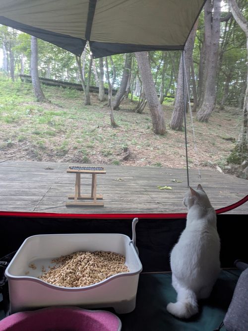 天気に恵まれた高原キャンプ North Village Hirugano - Camping Fields グループキャンプ ソロキャンプ オートサイト 区画サイト ちあさんのキャンプブログ CAMPiii（キャンピー） -キャンプ専用SNS キャンプのすべてがここに集まる-