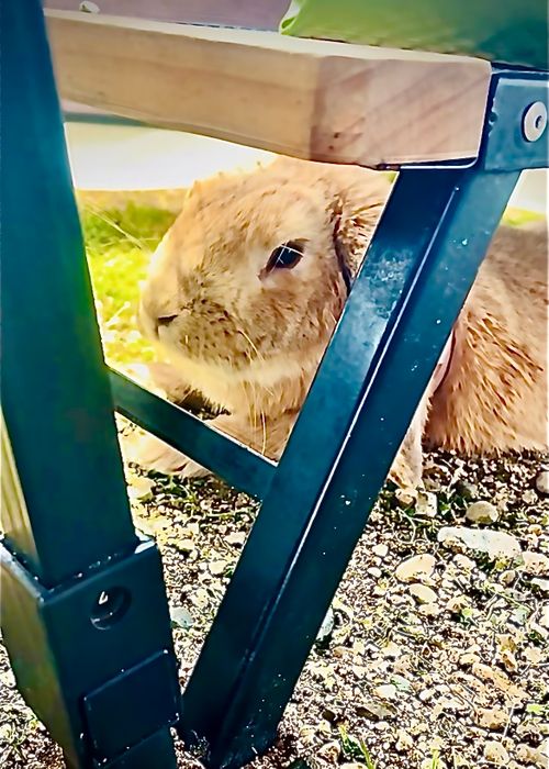 リベンジしなきゃ&hellip;やめられない、止まらない💦悪天候キャンパー天候(転向？)おじうさキャン△ in ゆうゆう広場 〜 CAMP NO.188 ゆうゆう広場 ソロキャンプ ファミリーキャンプ 区画サイト フリーサイト おじキャン△さんのキャンプブログ CAMPiii（キャンピー） -キャンプ専用SNS キャンプのすべてがここに集まる-