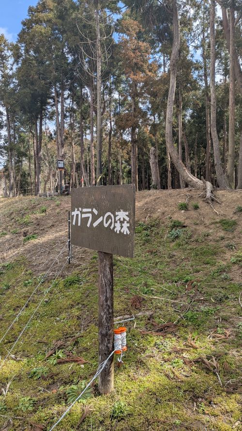 おひさしぶりです！No.44 South One Village 館山 ソロキャンプ 区画サイト すーつさんのキャンプブログ CAMPiii（キャンピー） -キャンプ専用SNS キャンプのすべてがここに集まる-