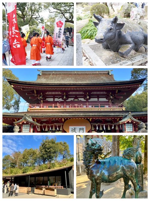 さあ、福岡を楽しむよ〜！！！ uminomori ソロキャンプ オートサイト けんじさんのキャンプブログ CAMPiii（キャンピー） -キャンプ専用SNS キャンプのすべてがここに集まる-