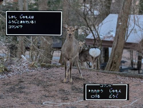 静寂な森のなかで(後篇) 小田急山中湖フォレストコテージ ファミリーキャンプ 好々爺🇯🇵さんのキャンプブログ CAMPiii（キャンピー） -キャンプ専用SNS キャンプのすべてがここに集まる-
