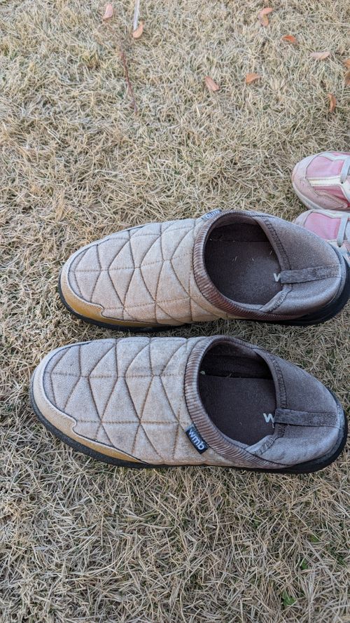 ひな祭り(だったね)🎎WBC応援キャンプ⚾️ たまなフラワーパーク ソロキャンプ ファミリーキャンプ グループキャンプ 区画サイト ヒゲキャンさんのキャンプブログ CAMPiii（キャンピー） -キャンプ専用SNS キャンプのすべてがここに集まる-