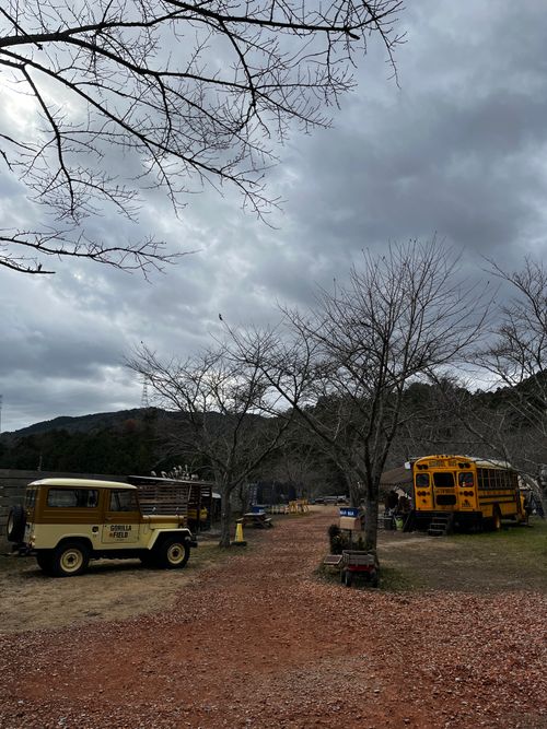 CAMPiii（キャンピー） RUGGED campさんのキャンプブログ 初の年越しキャンプ ゴリラフィールドとよのキャンプ場 GORILLA FIELD TOYONO