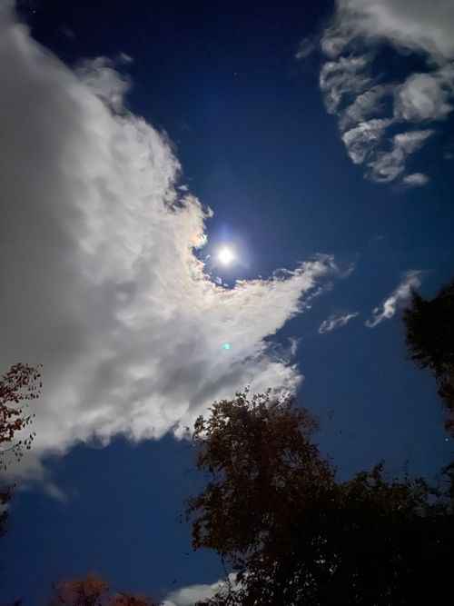 今シーズン最後のキャンプ エコキャンプみちのく ファミリーキャンプ 区画サイト ロコCamp0828さんのキャンプブログ CAMPiii（キャンピー） -キャンプ専用SNS キャンプのすべてがここに集まる-