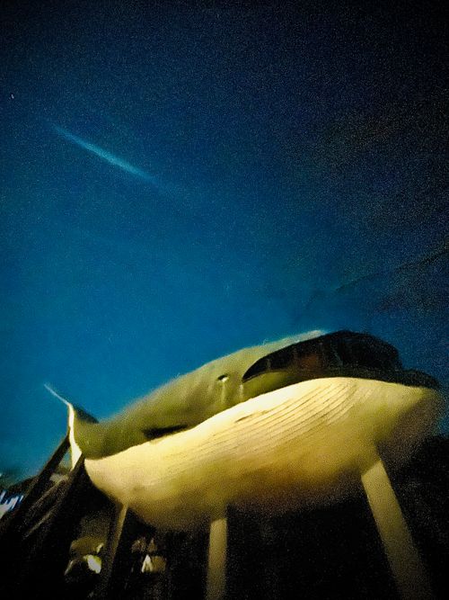 2025-2026 最初で最期の城跡エリア年越グルキャン△ in 下関市串崎城跡 〜 CAMP NO.169 関見台公園 ソロキャンプ ファミリーキャンプ グループキャンプ 区画サイト おじキャン△さんのキャンプブログ CAMPiii（キャンピー） -キャンプ専用SNS キャンプのすべてがここに集まる-