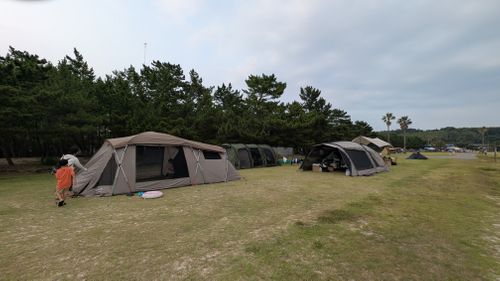 夏は○○○にご用心 野遊び浜キャンプ場 ファミリーキャンプ グループキャンプ フリーサイト ヒゲキャンさんのキャンプブログ CAMPiii（キャンピー） -キャンプ専用SNS キャンプのすべてがここに集まる-
