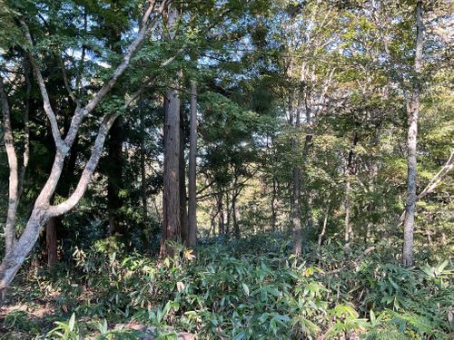 貸し切りすぎ、気持ち良すぎ、カメムシいすぎ North Village Hirugano - Camping Fields ファミリーキャンプ オートサイト 区画サイト りょっちーさんのキャンプブログ CAMPiii（キャンピー） -キャンプ専用SNS キャンプのすべてがここに集まる-