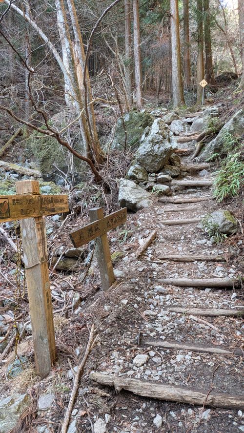 BONCHI 秩父市 グループキャンプ 区画サイト オートサイト IZUIZUさんのキャンプブログ CAMPiii（キャンピー） -キャンプ専用SNS キャンプのすべてがここに集まる-