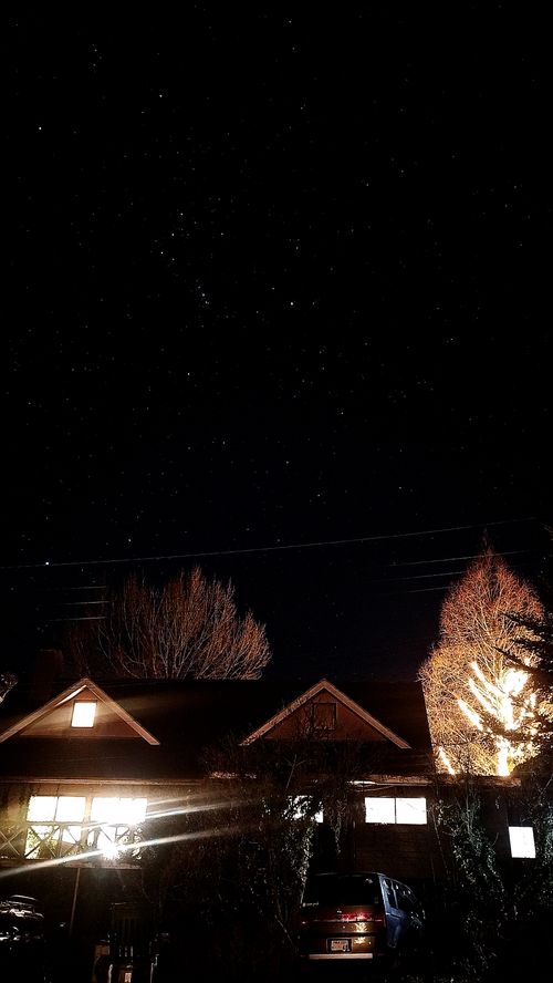 あけましておめでとうごニャイます！🐱（byまきお） ラピュタファームキャンプ場 グループキャンプ フリーサイト スローライフに憧れるさんのキャンプブログ CAMPiii（キャンピー） -キャンプ専用SNS キャンプのすべてがここに集まる-