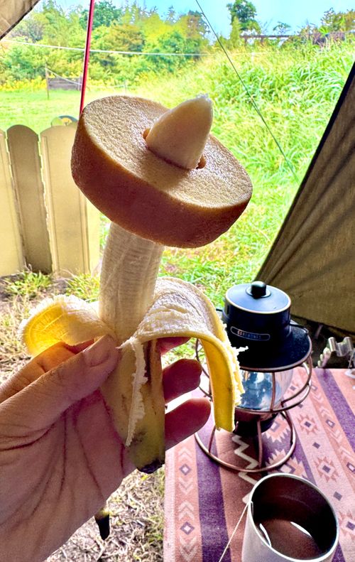 星降らぬ曇天の野営にて最高の肉の仕上がり ほしふるキャンプ場 ソロキャンプ 区画サイト EJIさんのキャンプブログ CAMPiii(キャンピー) -キャンプ専用SNS キャンプのすべてがここに集まる-