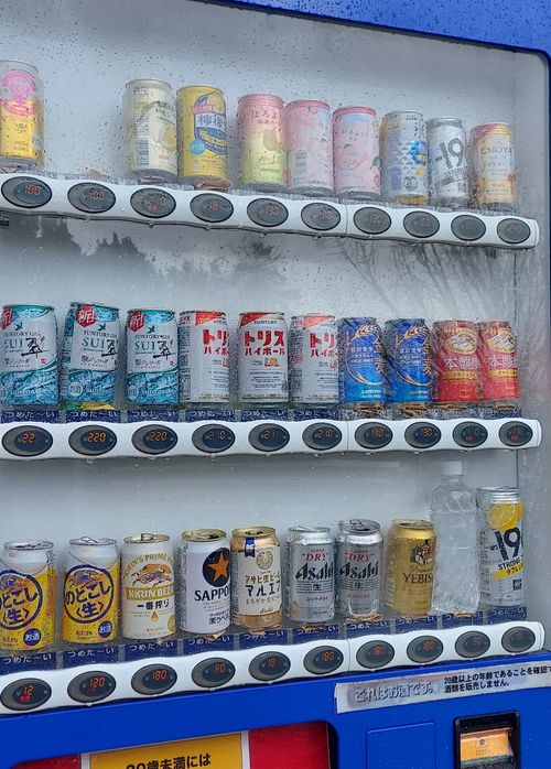 ハラハラポンコツキャンプ プラネットキャンプ ソロキャンプ 区画サイト 夢見るクマさんのキャンプブログ CAMPiii（キャンピー） -キャンプ専用SNS キャンプのすべてがここに集まる-