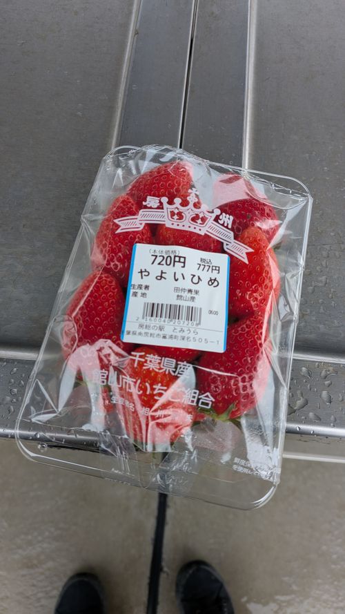 キャンプ再開して、同じとこへ　No.45 South One Village 館山 グループキャンプ ソロキャンプ 区画サイト すーつさんのキャンプブログ CAMPiii（キャンピー） -キャンプ専用SNS キャンプのすべてがここに集まる-