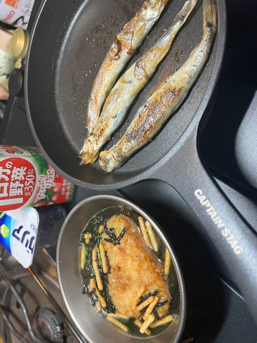 橘ふれあい公園キャンプ 橘ふれあい公園キャンプ場 ソロキャンプ オートサイト Maaaaaa!さんのキャンプブログ CAMPiii（キャンピー） -キャンプ専用SNS キャンプのすべてがここに集まる-