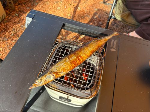 ９月キャンプ⛺️ 秩父ファームステイ - CHICHIBU FARMSTAY ファミリーキャンプ オートサイト boorishcamperさんのキャンプブログ CAMPiii（キャンピー） -キャンプ専用SNS キャンプのすべてがここに集まる-
