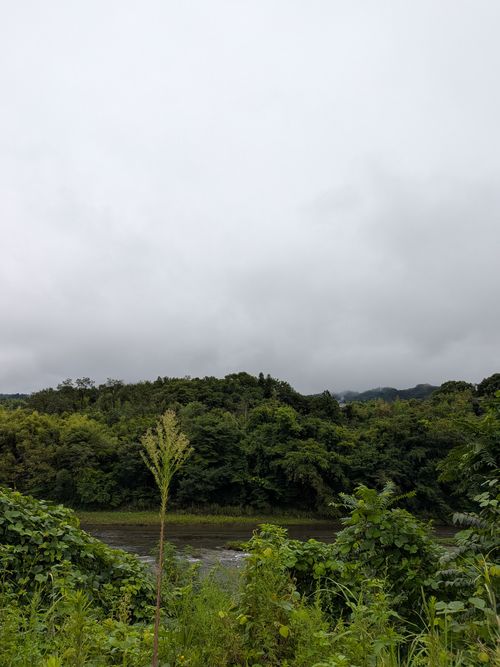 パンダ召喚した馬肉の日 ともえ川Park グループキャンプ オートサイト 区画サイト IZUIZUさんのキャンプブログ CAMPiii（キャンピー） -キャンプ専用SNS キャンプのすべてがここに集まる-