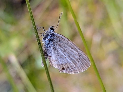 CAMPiii（キャンピー） ぞのさんさんのキャンプブログ メッタメタにしてやんよ！ 知明湖キャンプ場
