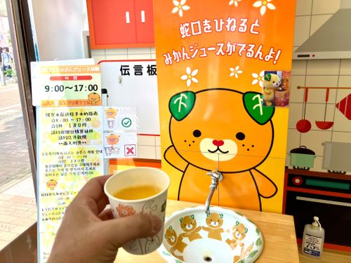 やっと来れた！！　やっぱ絶景や！！ 姫鶴平キャンプ場 ソロキャンプ けんじさんのキャンプブログ CAMPiii（キャンピー） -キャンプ専用SNS キャンプのすべてがここに集まる-