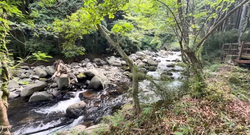 久々　近所のキャンプ場🏕️ 桃沢キャンプ場 ソロキャンプ 区画サイト さいちゃんさんのキャンプブログ CAMPiii（キャンピー） -キャンプ専用SNS キャンプのすべてがここに集まる-