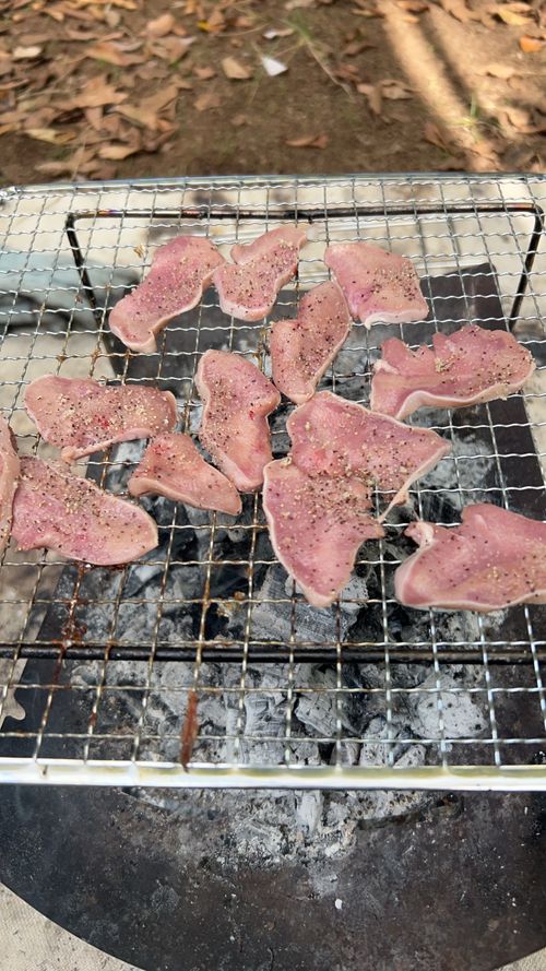 ハンモックの聖地でのんびりソロ＋ソロ 月尾根自然の森キャンプ場 ソロキャンプ グループキャンプ フリーサイト KOBApapaさんのキャンプブログ CAMPiii（キャンピー） -キャンプ専用SNS キャンプのすべてがここに集まる-