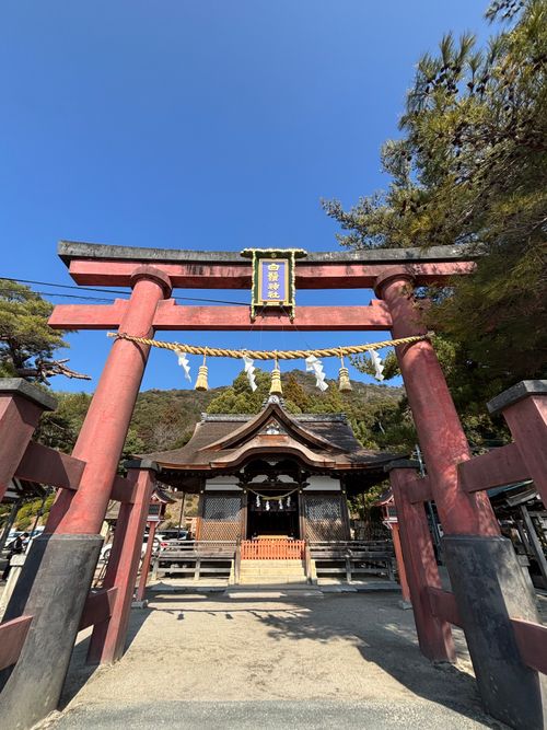 オリンピックで毎日涙涙涙『感動したっ！』 六ツ矢崎浜オートキャンプ場 ソロキャンプ フリーサイト とのさんのキャンプブログ CAMPiii（キャンピー） -キャンプ専用SNS キャンプのすべてがここに集まる-