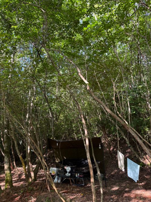 史上初、、、、 アウトドアベース京都 OUTDOOR BASE KYOTO ソロキャンプ フリーサイト まーくんさんのキャンプブログ CAMPiii(キャンピー) -キャンプ専用SNS キャンプのすべてがここに集まる-
