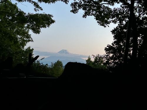 3週連続ソロキャンプ🏕️ CAMP BEAN ソロキャンプ 区画サイト Genさんのキャンプブログ CAMPiii（キャンピー） -キャンプ専用SNS キャンプのすべてがここに集まる-