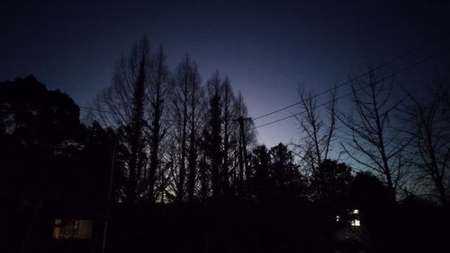 あけましておめでとうごニャイます！🐱（byまきお） ラピュタファームキャンプ場 グループキャンプ フリーサイト スローライフに憧れるさんのキャンプブログ CAMPiii（キャンピー） -キャンプ専用SNS キャンプのすべてがここに集まる-