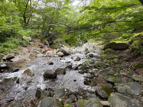 沢のせせらぎ癒しキャンプ 道志の森キャンプ場 ソロキャンプ オートサイト かとかとさんのキャンプブログ CAMPiii（キャンピー） -キャンプ専用SNS キャンプのすべてがここに集まる-