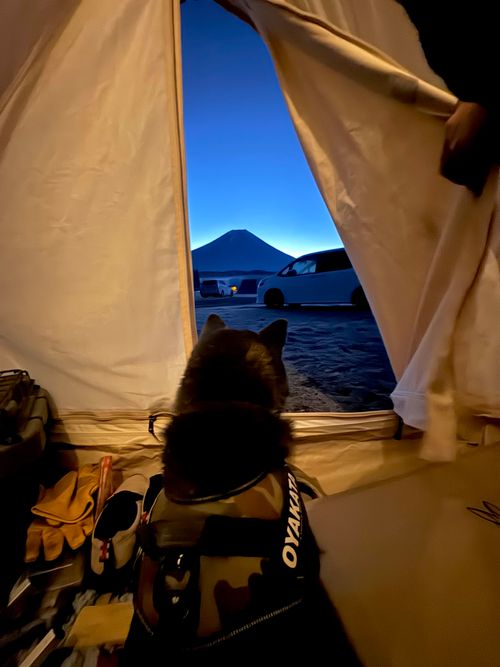 今月2回目⛺️今回も天気に恵まれて最高 ふもとっぱらキャンプ場 ソロキャンプ フリーサイト OYAKATAさんのキャンプブログ CAMPiii（キャンピー） -キャンプ専用SNS キャンプのすべてがここに集まる-