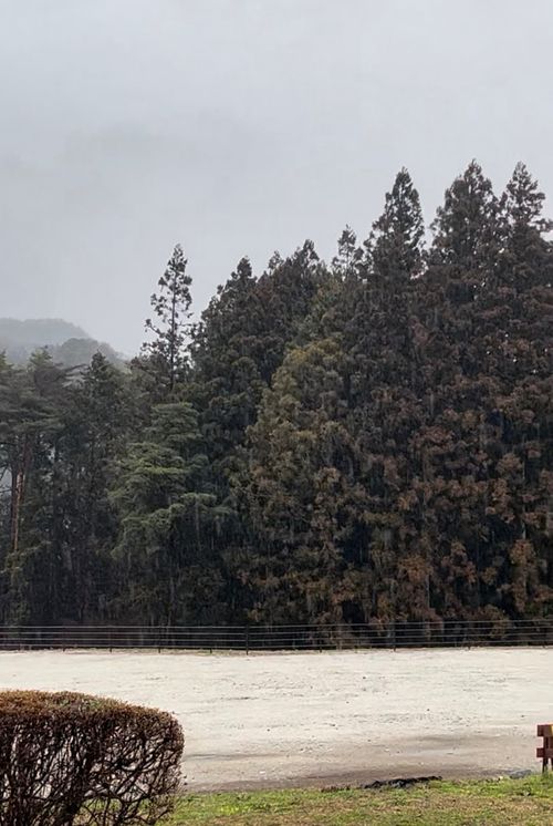 ご褒美キャンプ2 千人塚公園キャンプ場 ソロキャンプ 区画サイト KABUTOさんのキャンプブログ CAMPiii（キャンピー） -キャンプ専用SNS キャンプのすべてがここに集まる-