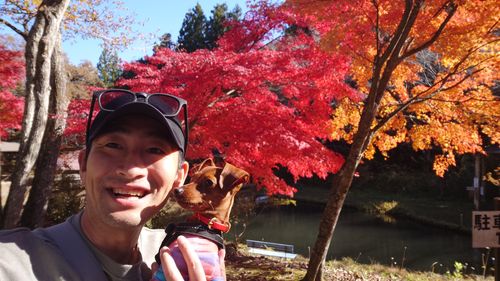 紅葉狩り 日光・まなかの森 キャンプ＆スパリゾート ソロキャンプ グループキャンプ 区画サイト まーささんのキャンプブログ CAMPiii（キャンピー） -キャンプ専用SNS キャンプのすべてがここに集まる-