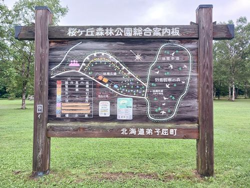北海道の旨い!を食べるC△mp旅’ 2025(1 of 4) 北海道 ファミリーキャンプ キャンピングカー vios outdoor'sさんのキャンプブログ CAMPiii(キャンピー) -キャンプ専用SNS キャンプのすべてがここに集まる-