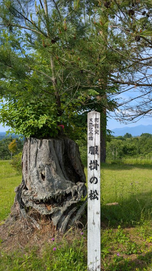 山を見て　肉を焼き　あの人を思ふ ソロキャンプ フリーサイト ヒゲキャンさんのキャンプブログ CAMPiii（キャンピー） -キャンプ専用SNS キャンプのすべてがここに集まる-