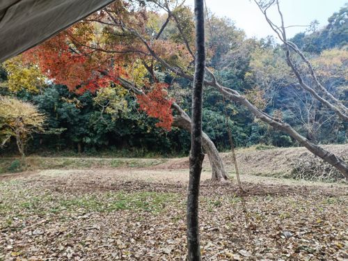 第3陣は忘れ物祭り りょっちゃんの秘密基地 ソロキャンプ フリーサイト オートサイト Kazu Aさんのキャンプブログ CAMPiii（キャンピー） -キャンプ専用SNS キャンプのすべてがここに集まる-