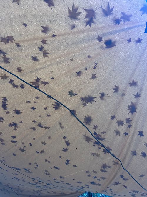 紅葉🍁キャンプ 山伏オートキャンプ場 ソロキャンプ グループキャンプ 区画サイト Genさんのキャンプブログ CAMPiii（キャンピー） -キャンプ専用SNS キャンプのすべてがここに集まる-