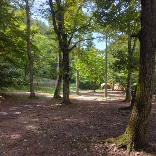 突然の思いつきキャンプ！ グリーンパーク吹割 ソロキャンプ フリーサイト こぺキャン△さんのキャンプブログ CAMPiii（キャンピー） -キャンプ専用SNS キャンプのすべてがここに集まる-