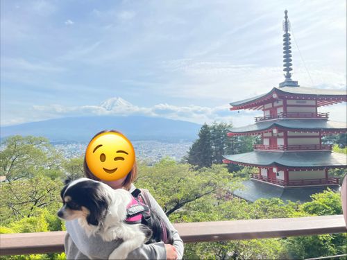 富士山キャンプと新倉浅間公園 朝霧Camp Base そらいろキャンプ場（フリーサイト・区画サイト・電源区画サイト） ファミリーキャンプ フリーサイト Kojiさんのキャンプブログ CAMPiii（キャンピー） -キャンプ専用SNS キャンプのすべてがここに集まる-