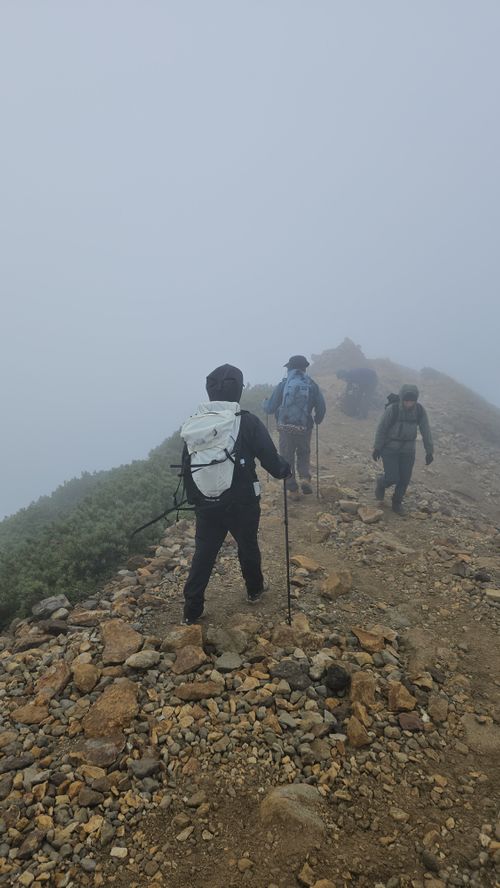 その後 日本 ソロキャンプ グループキャンプ 区画サイト フリーサイト オートサイト IZUIZUさんのキャンプブログ CAMPiii（キャンピー） -キャンプ専用SNS キャンプのすべてがここに集まる-