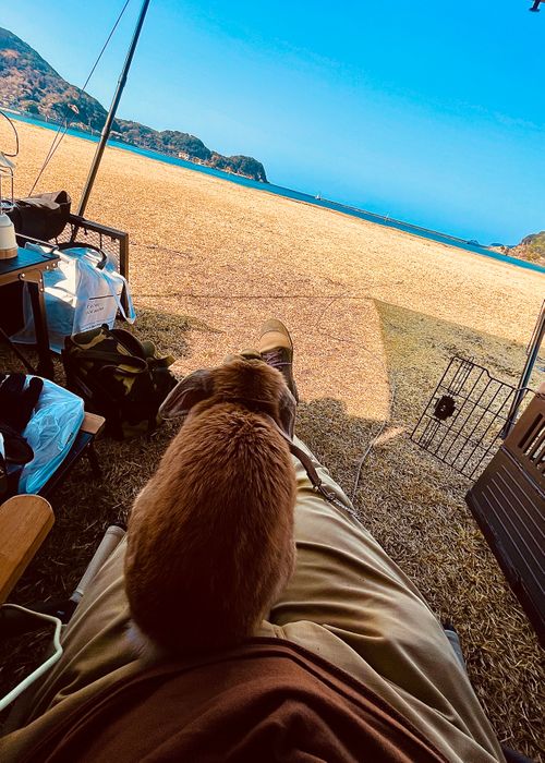 イライラした時は&hellip;やっぱり？リフレッシュおじうさキャン△ in 阿川ほうせんぐり海浜公園 〜 CAMP NO.177 阿川ほうせんぐり海浜公園 ソロキャンプ ファミリーキャンプ フリーサイト おじキャン△さんのキャンプブログ CAMPiii（キャンピー） -キャンプ専用SNS キャンプのすべてがここに集まる-