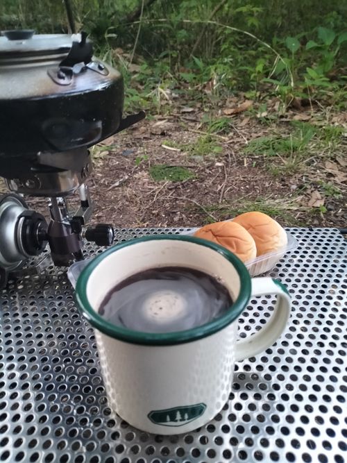 薪拾い放題！！ 月川荘キャンプ場 林間サイト ソロキャンプ フリーサイト ぼっちオヤジさんのキャンプブログ CAMPiii（キャンピー） -キャンプ専用SNS キャンプのすべてがここに集まる-