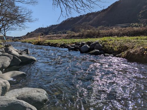 やっぱりここなのよ 愛川町 ソロキャンプ フリーサイト ひげさんさんのキャンプブログ CAMPiii（キャンピー） -キャンプ専用SNS キャンプのすべてがここに集まる-