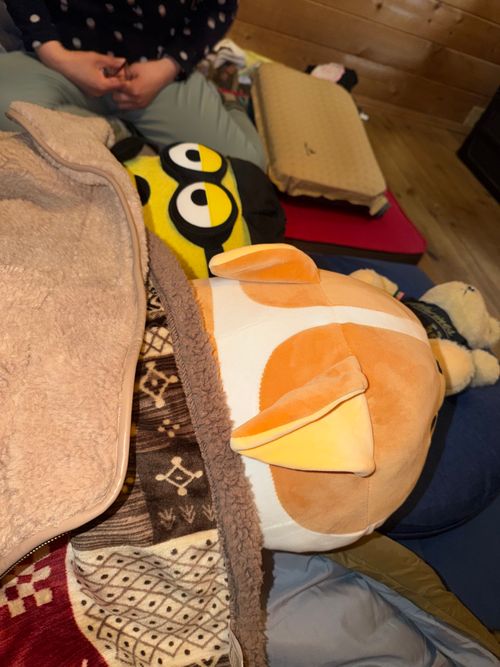 Ｎoritamaくんの初キャンプデビュー RECAMP 勝浦（旧しあわせの丘リゾート) ファミリーキャンプ 区画サイト Noritamaさんのキャンプブログ CAMPiii（キャンピー） -キャンプ専用SNS キャンプのすべてがここに集まる-