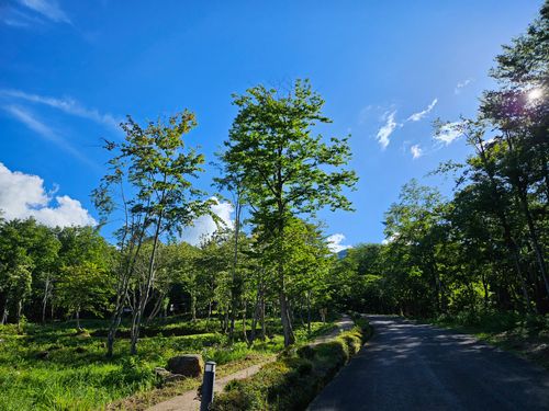 今度こそ避暑キャンプ!?😆 恐羅漢エコロジーキャンプ場 ソロキャンプ 区画サイト オートサイト 三代目とっしぃさんのキャンプブログ CAMPiii(キャンピー) -キャンプ専用SNS キャンプのすべてがここに集まる-
