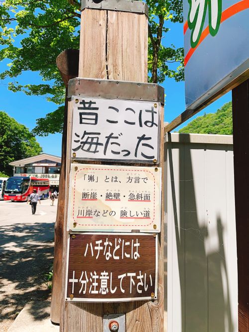 もう雪景色はおなかいっぱい&hellip;なので、現実逃避【備忘録】 エンゼルフォレスト那須白河｜ペットと泊まれる宿 Oniyomeさんのキャンプブログ CAMPiii（キャンピー） -キャンプ専用SNS キャンプのすべてがここに集まる-