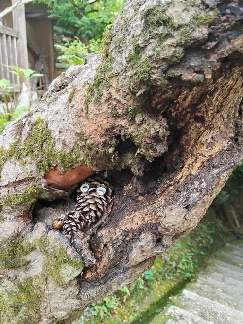 ちょっとハイク 笠置キャンプ場 ソロキャンプ フリーサイト おっとまんSさんのキャンプブログ CAMPiii（キャンピー） -キャンプ専用SNS キャンプのすべてがここに集まる-