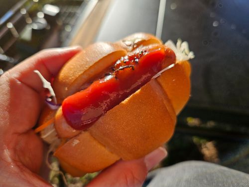 雲海キャンプ2025③は、長崎でグルキャン 野々川グランビューパーク グループキャンプ 区画サイト オートサイト 三代目とっしぃさんのキャンプブログ CAMPiii(キャンピー) -キャンプ専用SNS キャンプのすべてがここに集まる-