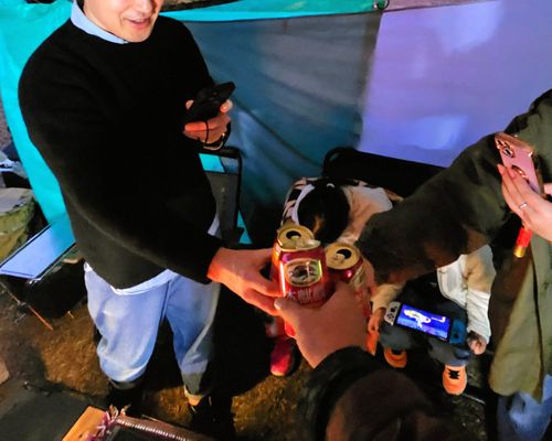 俺のあそびฅ(o‘ⓛ’o)ฅ    みりきゃん2025 富士本栖湖リゾート グループキャンプ ソロキャンプ フリーサイト くまくまさんのキャンプブログ CAMPiii（キャンピー） -キャンプ専用SNS キャンプのすべてがここに集まる-